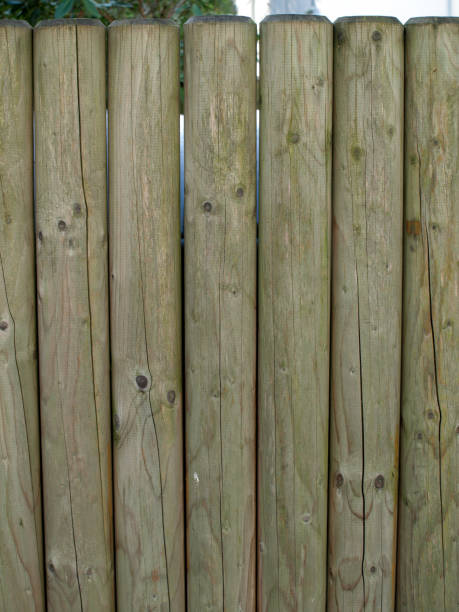 istock closeup on a wooden fence 1202118410