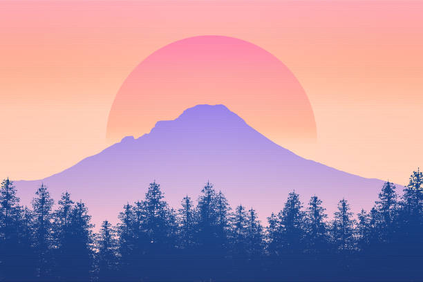 Nature and wilderness scenery background 2D illustration with sun. Sunrise or sunset feel. Mt Hood silhouette, Oregon, USA. Outdoors concept. Nature and wilderness scenery background 2D illustration with sun. Sunrise or sunset feel. Mt Hood silhouette, Oregon, USA. Outdoors graphic concept. silhouette evergreen tree back lit pink stock illustrations