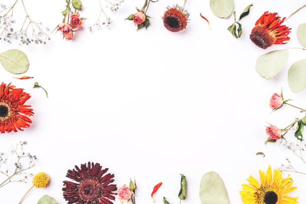 istock Frame of dry flowers on white background. 1202123777