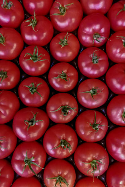istock Group of ripe tomatoes forming a background, top view. 1202125403