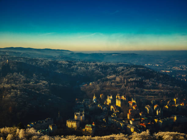 istock aerial view of Pine trees forest on cold winter morning 1202126536