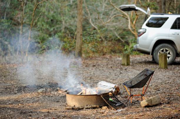 istock Campsite with overland vehicle open 1202126649