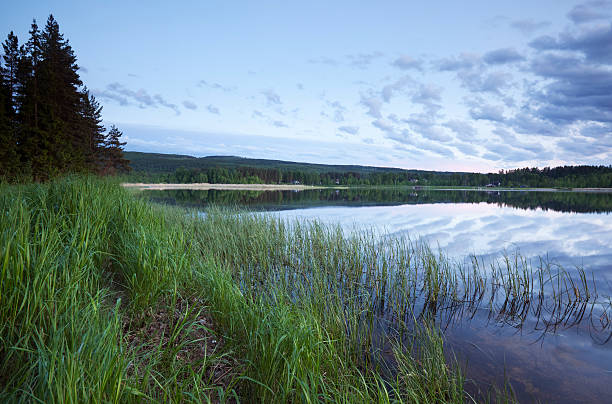 istock View from a lake in Sweden. 120212670