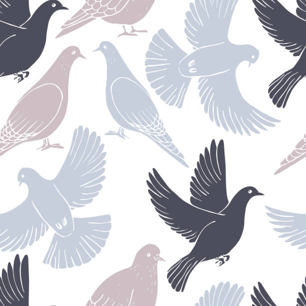 wzór wektorowy z gołębiami - gołąb ilustracje stock illustrations