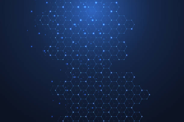 Technology abstract lines and dots connect background with hexagons. Hexagons connection digital data and big data concept. Hex digital data visualization. Vector illustration. Technology abstract lines and dots connect background with hexagons. Hexagons connection digital data and big data concept. Hex digital data visualization. Vector illustration node 1 stock illustrations