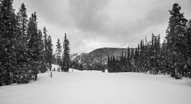 istock Falling snow in the Colorado mountains 1202131448