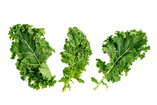 green leafy kale vegetable isolated on white studio background
