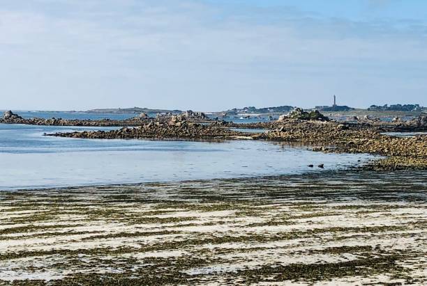 Landscape in Brittany - near Roscoff, France Landscape in Brittany (near Roscoff, ile de Batz) France cancale photos stock pictures, royalty-free photos & images