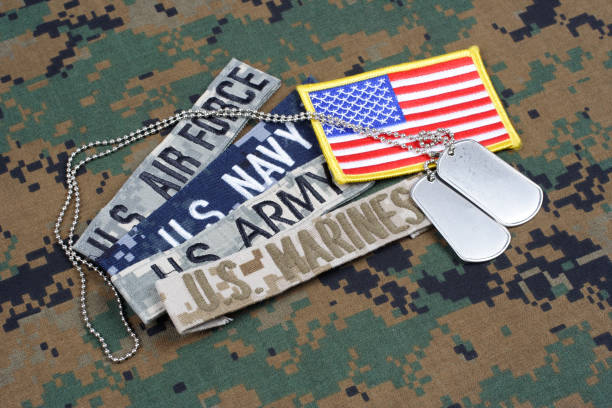 us military konzept mit zweigbändern und hundeanhängern auf tarnuniform - army air corps stock-fotos und bilder