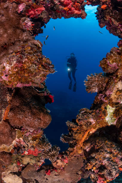 istock Shipwreck IRO and diver - Palau, Micronesia 1202143508