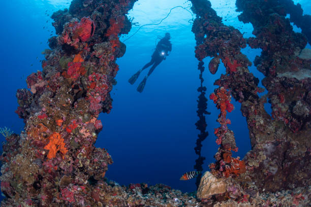 istock Shipwreck IRO and diver - Palau, Micronesia 1202143509