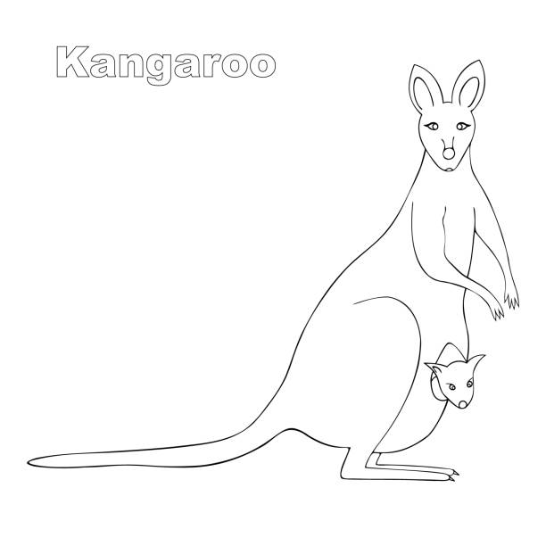 Mother kangaroo with a cub. Vector stock illustration on an isolated background. Coloring book for children and adults. Doodle style. Idea for a book, magazine, or web design.  An animal from Australia. Colorless image. Mother kangaroo with a cub. Vector stock illustration on an isolated background. Coloring book for children and adults. Doodle style. Idea for a book, magazine, or web design.  An animal from Australia. Colorless image. wallaroo south australia stock illustrations