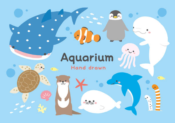 Cute Whale Shark Cartoon Character Sea Animal Underwater Illustration And Vector Vector Art At Vecteezy Cute Whale Shark Cartoon Character Sea Animal Underwater Illustration And Vector Vector Art At Vecteezy