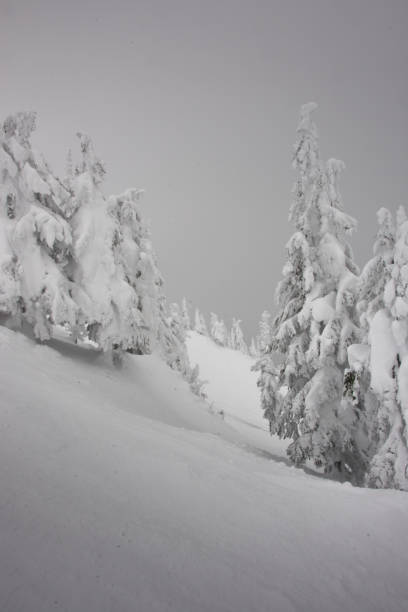 istock Skiing in friends in the mountains. 1202160040