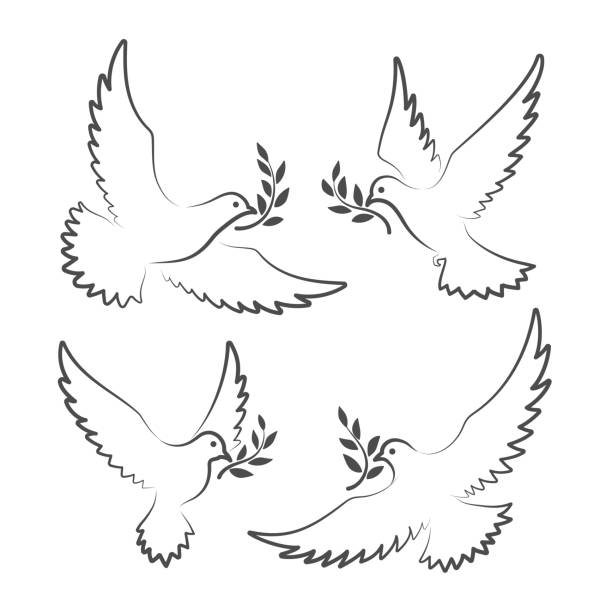 White doves with olive branch Dove signs. White doves with olive branch symbols, pigeon of peace vector illustration, christian hope flying birds dove earth globe symbols of peace stock illustrations