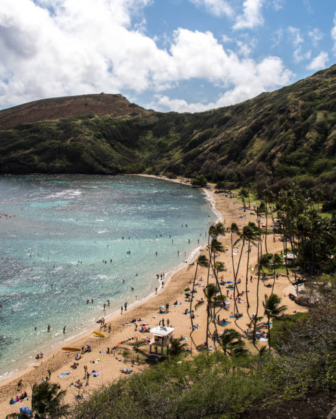 istock Hanauma Bay in reef and scenics in Hawaii 1202172203