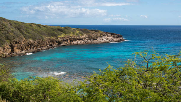 istock Hanauma Bay in reef and scenics in Hawaii 1202172229