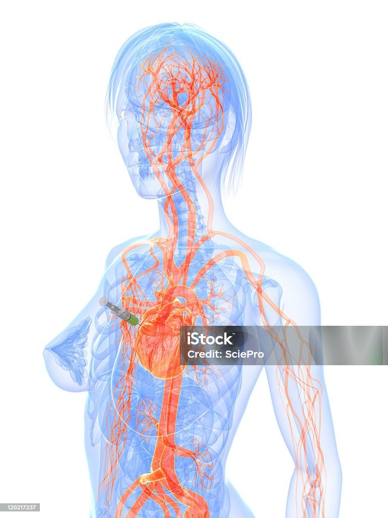 심장 주입형에 - 로열티 프리 건강관리와 의술 스톡 사진