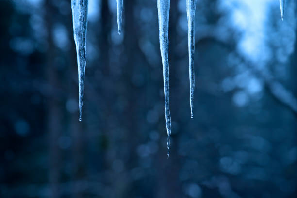 Icicles dripping off a roof with forest out of focus in the background.