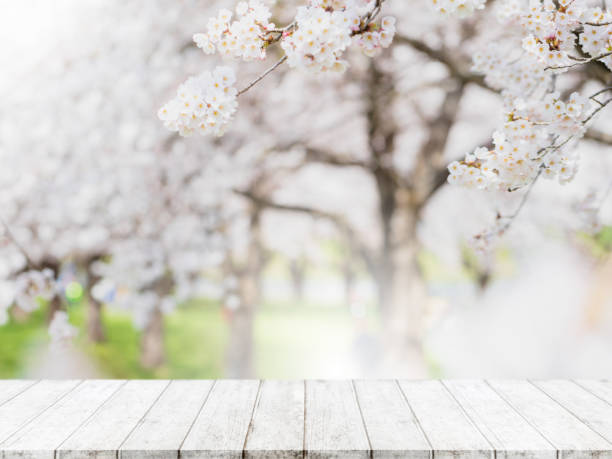 istock Empty wood table top and blurred sakura flower tree in garden background with vintage filter - can used for display or montage your products. 1202183888