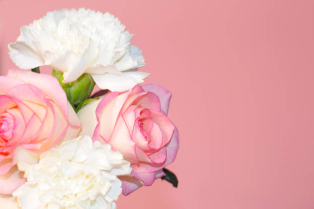 istock Pink roses and white asters on a pink background. 1202185991