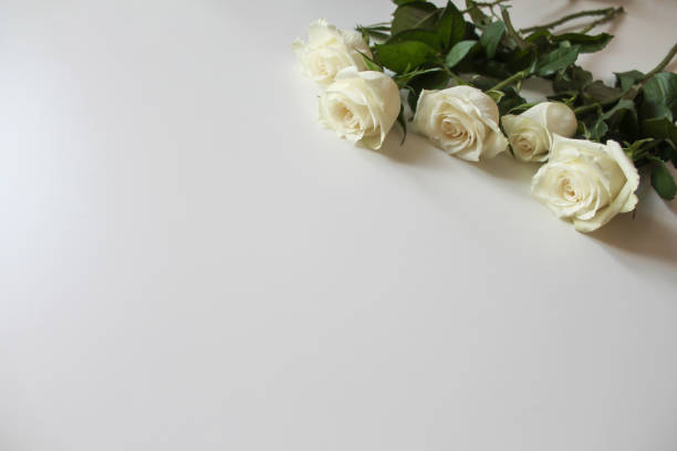 istock Bunch of white roses on blank surface with copy space for text 1202186947