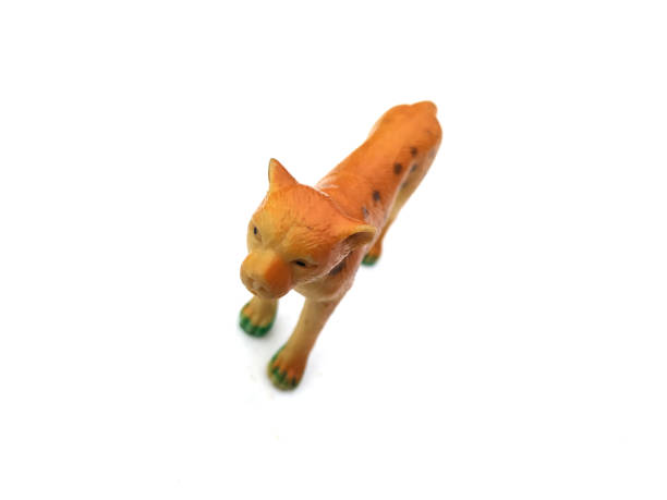 istock plastic children toys 1202188972