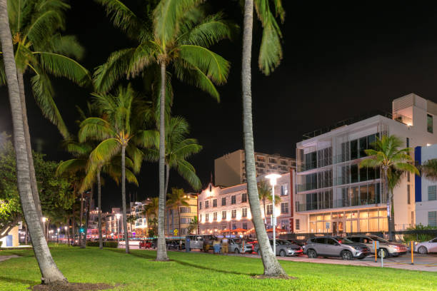 istock Night view of Miami Beach, Florida 1202196856