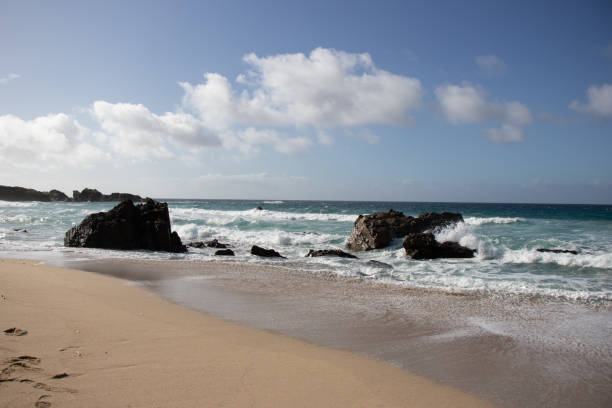 istock California coastline at scenic Big Sur 1202198466