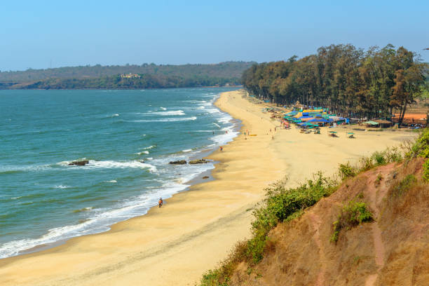 북쪽 고아의 케리 또는 케림 해변의 전경. 인도 - goa beach india green 뉴스 사진 이미지