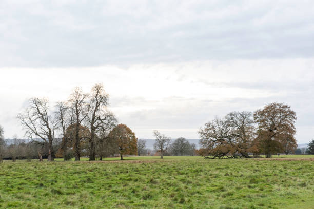 istock Countryside England Green Grass and Trees 1202199490