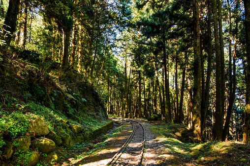 Alishan Forest Railway