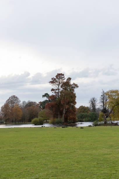 istock Countryside England Green Grass and Trees 1202201531