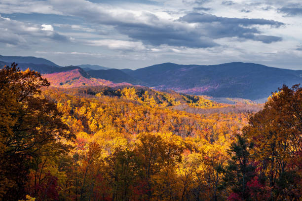 istock Autumn in the Smoky Mountains 1202201611