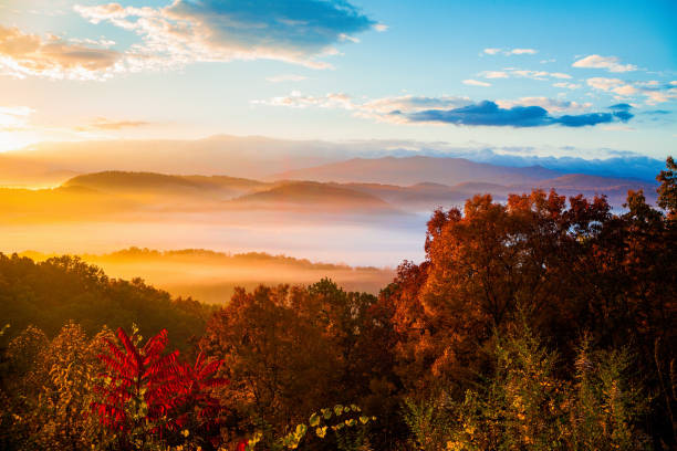 herbstfarben in den smokies - great smoky mountains great smoky mountains national park mountain fog stock-fotos und bilder