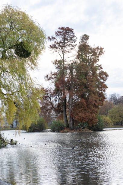 istock Countryside England Lake and Trees 1202201750