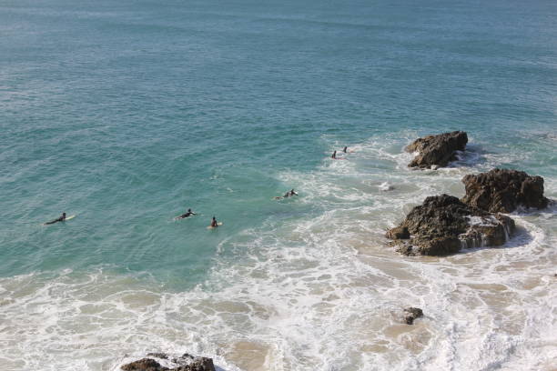 istock Surfing in the ocean 1202202405