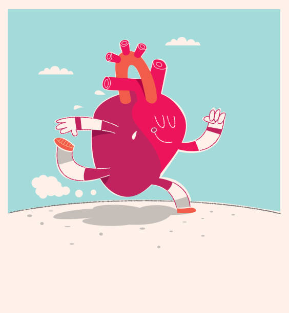 illustrazioni stock, clip art, cartoni animati e icone di tendenza di cuore in esecuzione - exercising doctor relaxation exercise blood pressure gauge