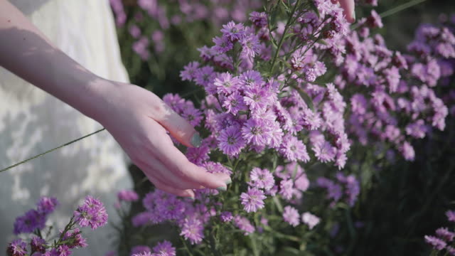 SLO MO Woman's Hands Touching Flower