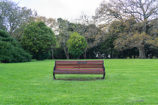 A wooden bench at large lawn