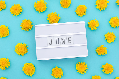 Text June on light box and yellow dandelions on blue background. Concept hello summer. Top view Flat lay
