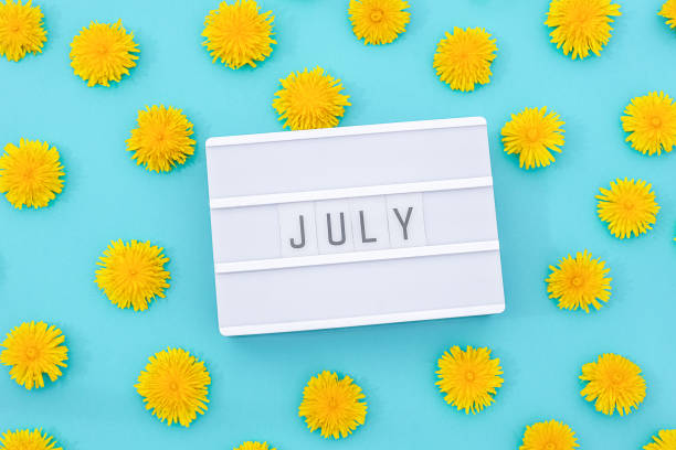 istock Text July on light box and yellow dandelions on blue background. Concept hello summer. Top view Flat lay 1202206473