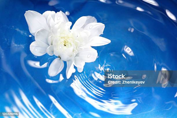 Fiori E Acqua - Fotografie stock e altre immagini di Acqua - Acqua, Ambientazione esterna, Ambientazione tranquilla