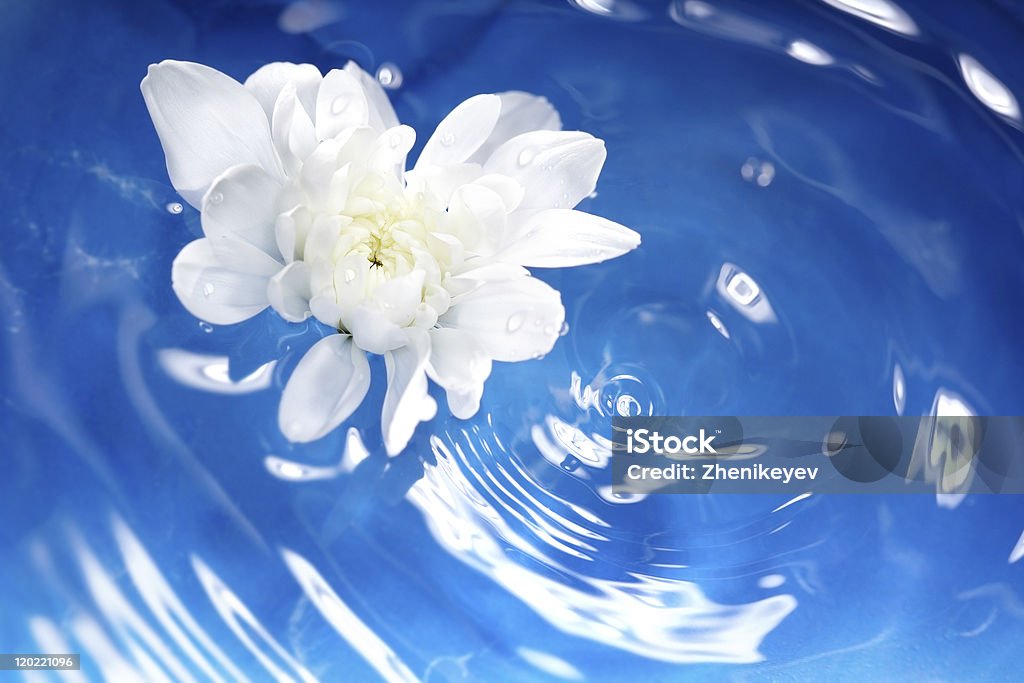 Flores e água - Foto de stock de Abstrato royalty-free