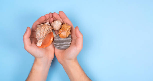 istock Seashells in men's hands on a blue background. Layout for the banner. 1202212949