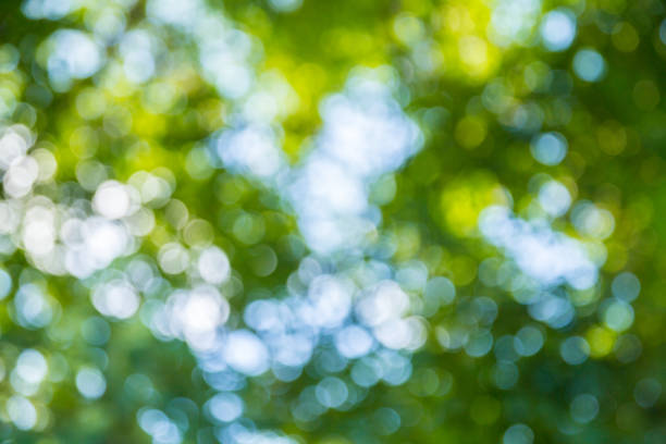istock Natural green bokeh abstract background 1202213264