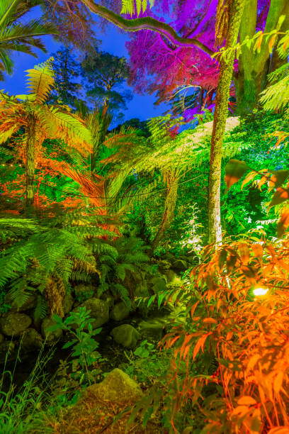 istock Botanic garden illuminated with artificial lights 1202213488