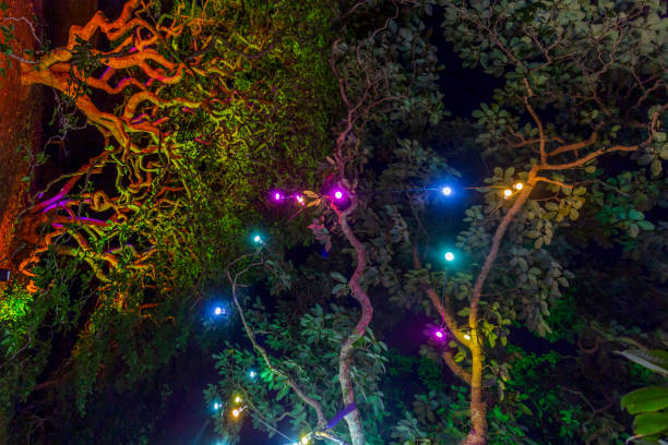 istock Botanic garden illuminated with artificial lights 1202214197