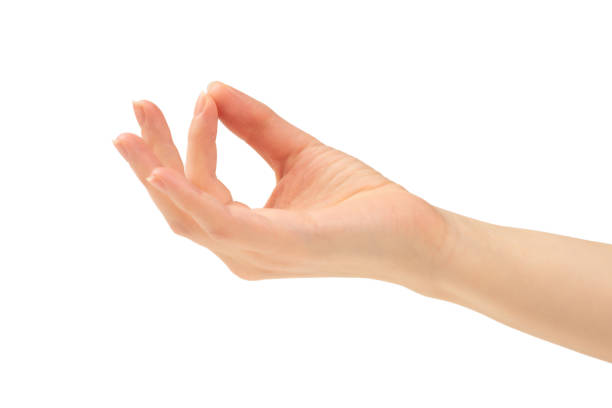 istock Hand of woman isolated on white 1202216057