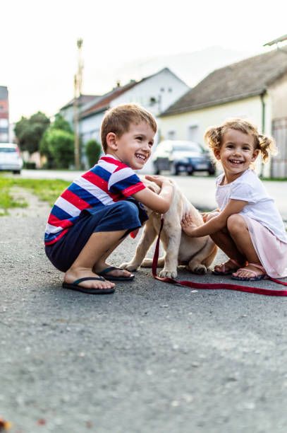 istock We are best friends! 1202216112